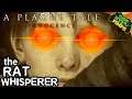A Plague Tale - The Rat Whisperer