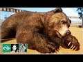 🦓 Grizzly Bears Habitat | Let's play Planet Zoo Franchise Mode | BETA | #2