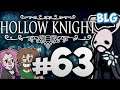 Lets Play Hollow Knight - Part 63 - Delicate Flower Sidequest