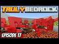AFK Raid Farm Is Finished! - Truly Bedrock (Minecraft Survival Let's Play) Episode 17