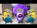 💛 Best of The Minions Animation Compilation 💛
