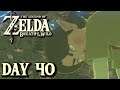 Don't Step On The Flowers - Breath of the Wild | DAY 40