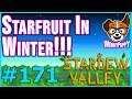 GROWING STARFRUIT IN WINTER!!!  |  Let's Play Stardew Valley [Episode 171]