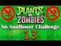 Plants vs. Zombies No Sunflower Challenge #13 (To the roof!)