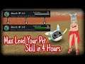 FAST LEVELING PASSIVE SKILL FOR PET (GENTLE/TIMID SRD) #Part1 [ToramOnline]