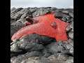 Lava shaving off from an active site in Hawaii | #nature #lava #volcano