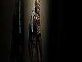 #shorts A New Dead Space Game Coming Soon? MumblesVideos Gaming News