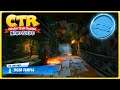 Crash Team Racing: Nitro-Fueled (PS4) - TTG #1 - CTR Tokens - Tiger Temple