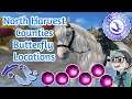 North Harvest Counties Butterflies Location : Catherine's Memories : StarStable Online