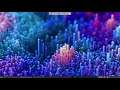 ArcoLinux : 2114 Carli 10 - making a new Calamares config - netinstall module