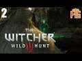 Der Geist aus dem Brunnen ✘ The Witcher 3: Wild Hunt #2 | FestumGamers