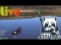 Live🔴Russian Fishing 4  - Catfish Spot Akhtuba !