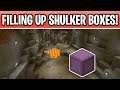 Minecraft Mining Until My Shulker Boxes Are Full! Survival Stream