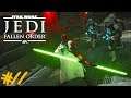 STAR WARS Jedi Fallen Order : Lets Play #11 - SPIDERMAN IZZ DA !! 😂😂😂