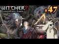 TROLL COUNSELOR || THE WITCHER 2 Let's Play Part 47 (Blind) || THE WITCHER 2 Gameplay