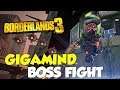 Borderlands 3 Gigamind Boss Fight (Solo)