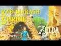Ka'o Makagh Shrine - Zelda: BotW