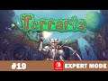 Terraria 1.4 Expert Mode #19 erster Höllenbesuch