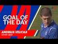 GOAL OF THE DAY | Andrius Velicka v Hearts 2009