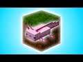 If I find Axolotl, the video ends - Minecraft