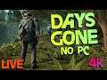 🔴 Outro grande exclusivo do Playstation vindo pro PC | Testando Days Gone no PC |4k60 PC Ultra