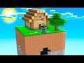 SURVIVING ON A SKYBLOCK WORLD IN MINECRAFT!