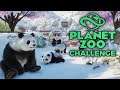 Wer baut das BESTE Panda-Gehege? | Planet Zoo Challenge