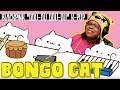 Bongo Cat Blackpink DDU DU DDU DU K Pop by Beebo | ANimation Reaction