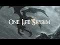One Life Skyrim: Only A Handful Of Quests To Go