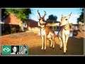 🦓 Let's build a zoo | Pronghorn | Let's play Planet Zoo Franchise Mode | BETA | Gameplay | #1