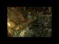 Final Fantasy VII (PC) - Part 72