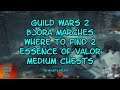 Guild Wars 2 Bjora Marches Where to Find Two Essence of Valor Medium Chests