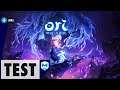 TEST du jeu Ori and the Will of the Wisps - XBox One, PC