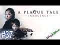 A Plague Tale: Innocence #37 | Lets Play A Plague Tale: Innocence
