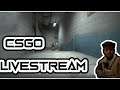 CSGO LIVE or Maybe just some talks! Back after a long time.
