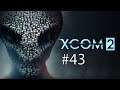 Let's Play XCom 2 War of the Chosen 43 - La Nave Alienigena