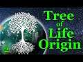 Stellaris Federations Tree of Life Origin Let's Play Ep2- Border Defenses