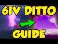 BEST 6IV DITTO GUIDE - Pokemon Sword and Shield 6IV Ditto Farming