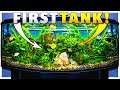 FIRST TANK // Building an Aquarium From Scratch // Aquarist Gameplay // DEMO