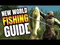 New World: Beginners Fishing Guide