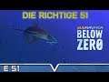 SUBNAUTICA Below Zero Deutsch ★ #51A  Die richtige Folge 51  ★ Arctic Living