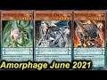 【YGOPRO】AMORPHAGE JUNE 2021 VS ALL META DECKS...