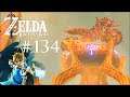 ICH RASTE AUS! • The Legend of Zelda: Breath of the Wild #134 ★ Let's Play