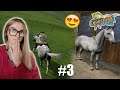 MEU CAVALO NOVO! parte! #3 - Lucinda Green's Equestrian Challenge