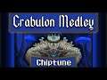 Terraria Calamity Mod - Crabulon Chiptune Medley (3K Special)