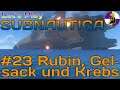 Let's Play Subnautica #23 Rubin, Gelsack und Krebs [Gameplay German/Deutsch]