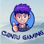 Chintu Gaming