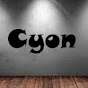 Cyon Channel