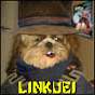 Master Linkuei