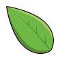leafster_02